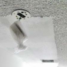 Popcorn Ceiling Removal Services 
